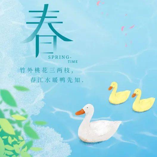 春风拂面,花开满园! 春风拂面,花开满园!