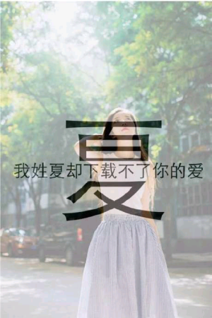 街头情话：那些藏在日常里的温柔告白