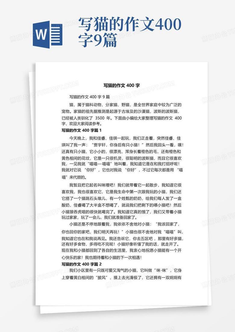 猫又把我的袜子叼走了…