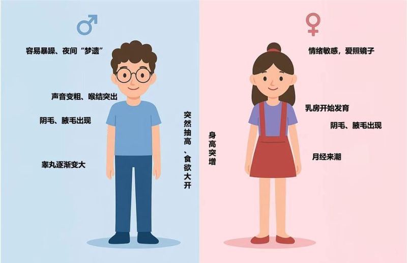 考试的心情日记！