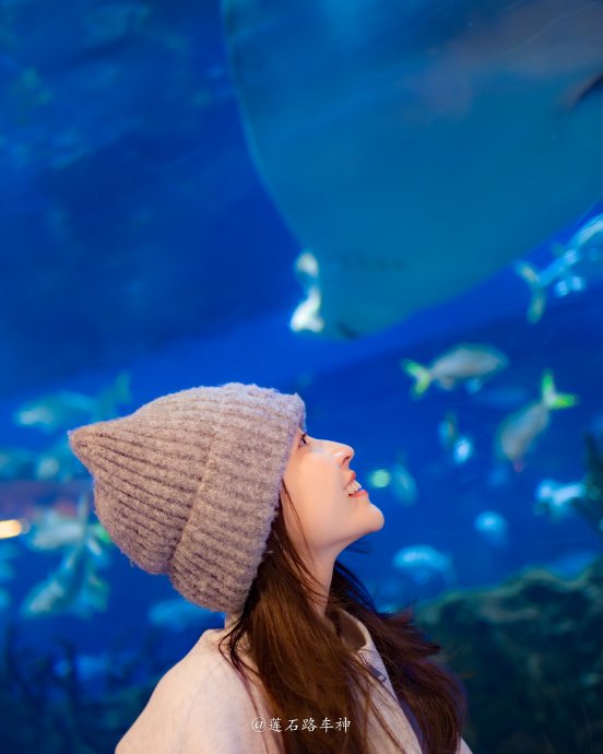 在蓝色梦境中醒来…