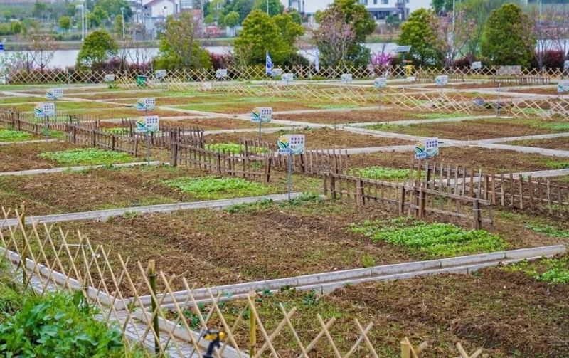 农场里的一天，与自然的亲密对话？