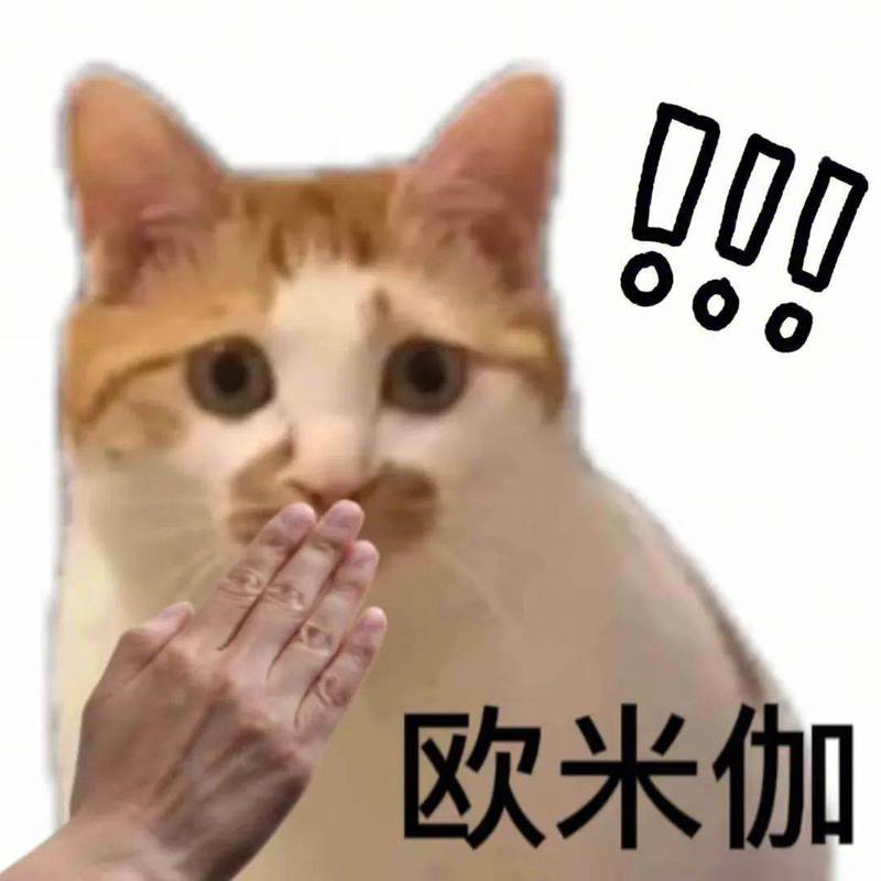 情话动物·用温柔的比喻说爱你