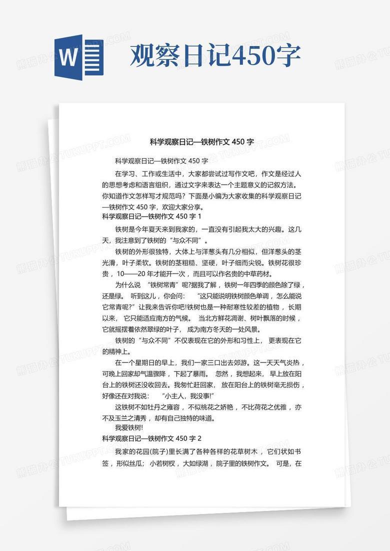 今天我终于明白了“光合作用”是怎么回事？
