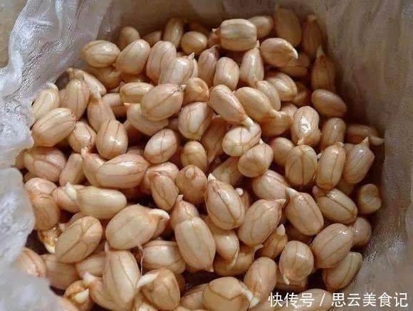 花生的发芽日记！