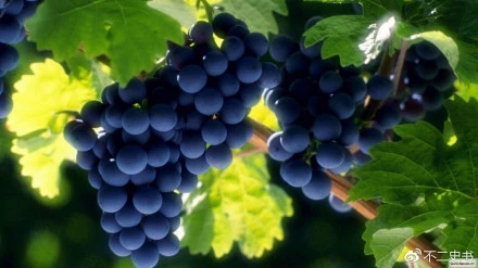 687情话｜藏在日常里的温柔心跳