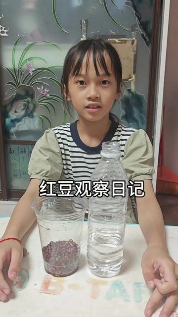 种红豆的日子：土里长出的甜
