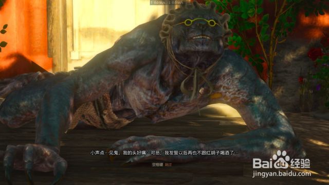 巫师老奶奶的日记？