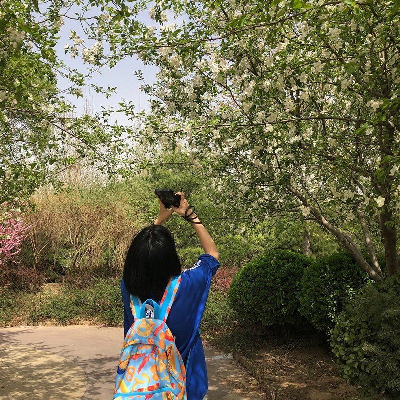 北京园博园的奇遇记！