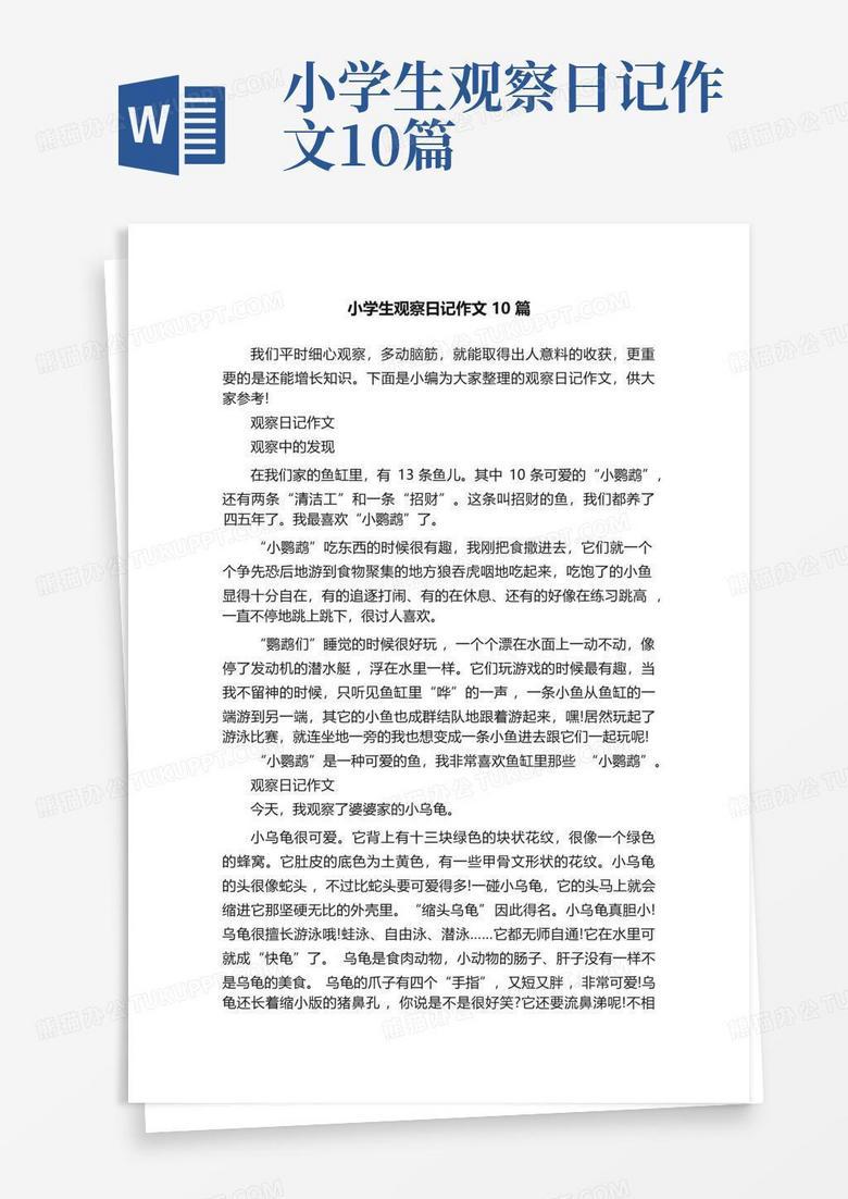 那只叫“花卷”的猫,成了我下班后的快乐源泉… 那只叫“花卷”的猫,成了我下班后的快乐源泉…