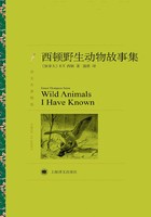 雪地里的思考题｜关于西顿的狼与人性