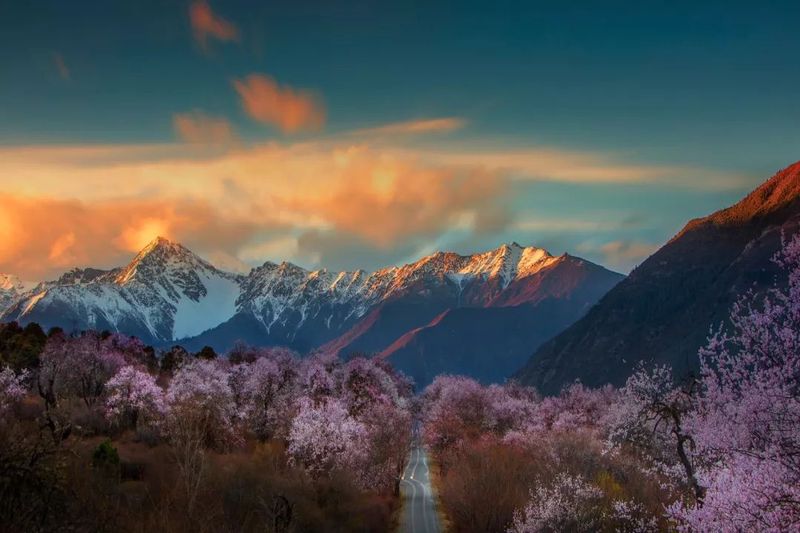 在林芝的月光下,我找到了最温柔的你… 在林芝的月光下,我找到了最温柔的你…
