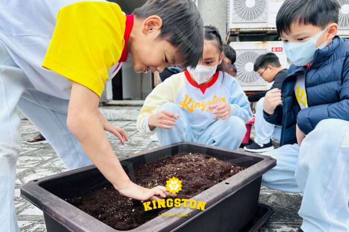 种菜初体验，收获满满的一天？