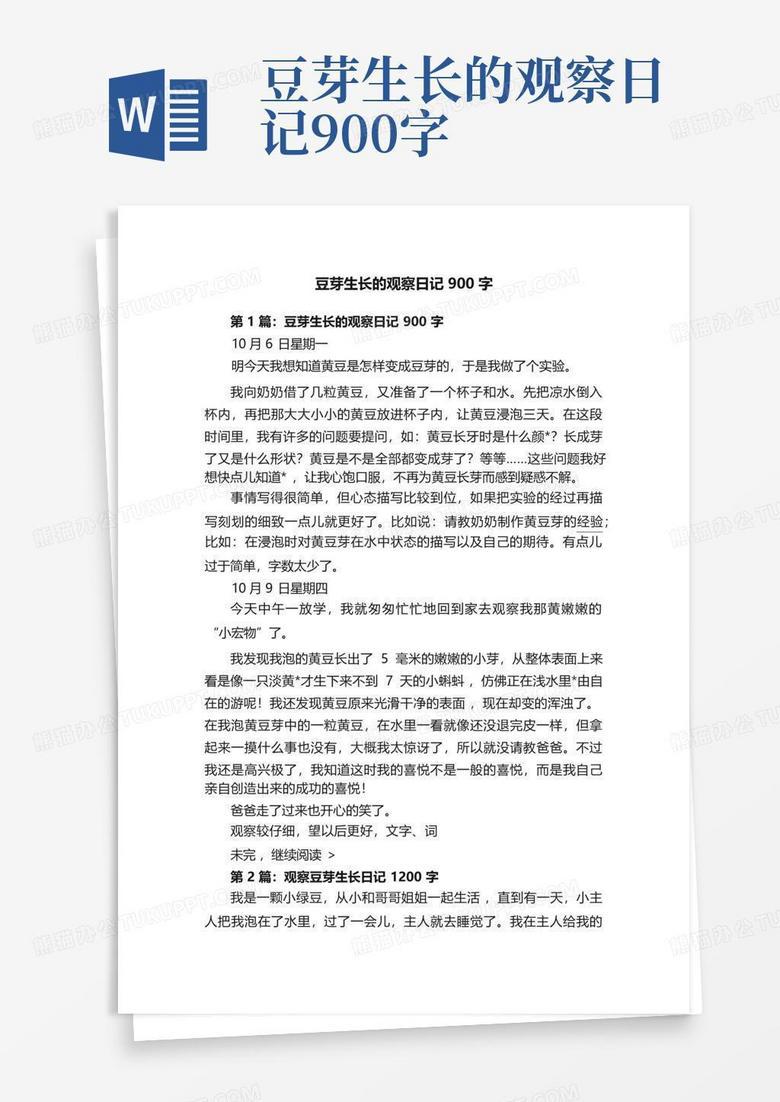 豆芽生长记—每天的变化都让人惊喜