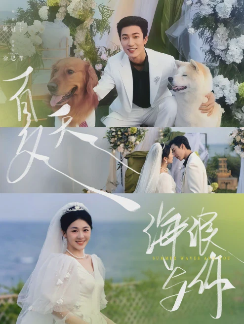 海浪情话—温柔、俏皮与深情的浪漫交织