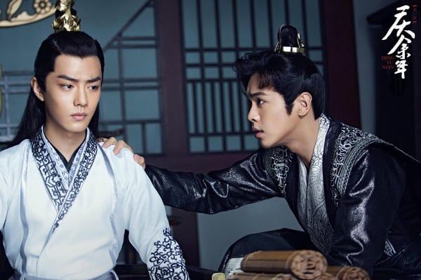 暗室里的猫与猫的故事？