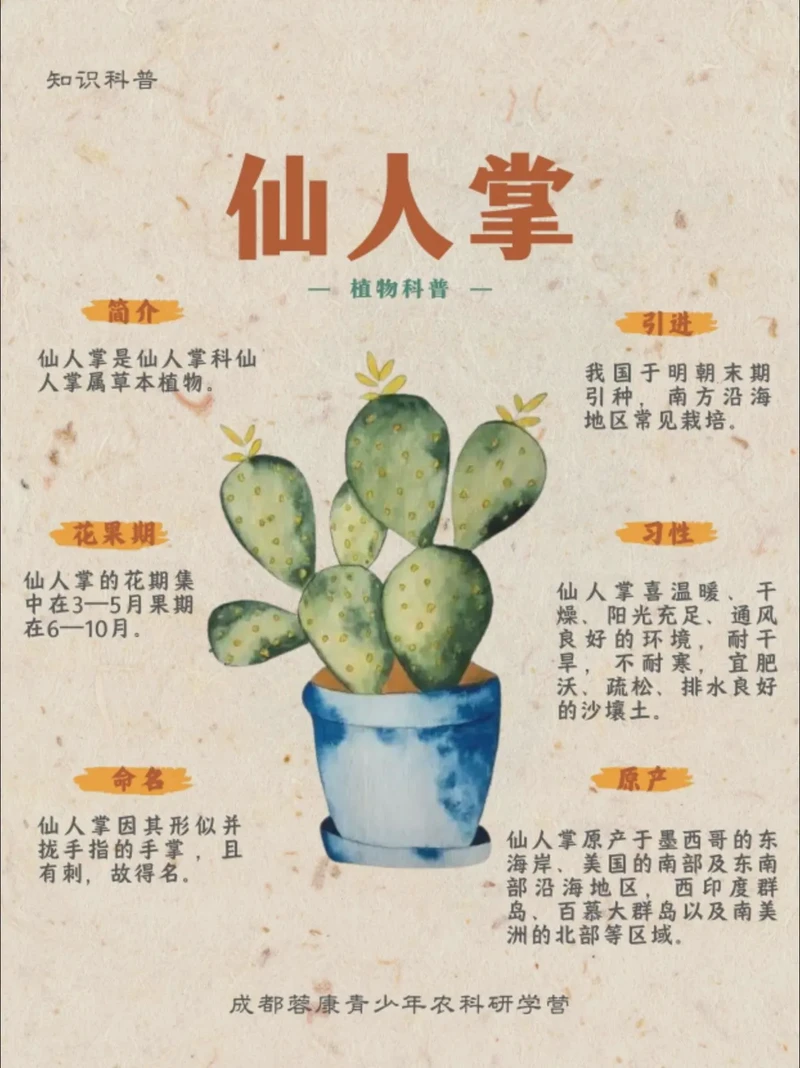 今天和我的小仙人掌有个约定？