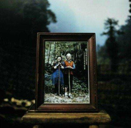 在星空下，每一步都是爱的回响…