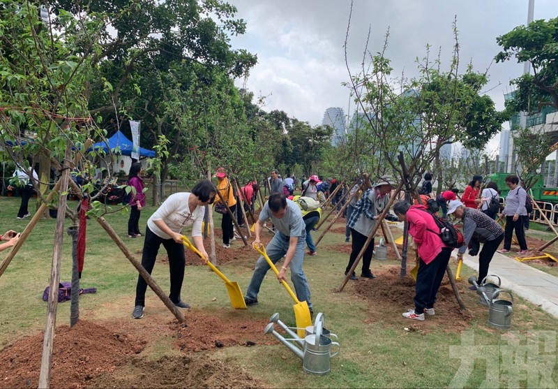 今天我亲手种下了一棵树，心里暖暖的？