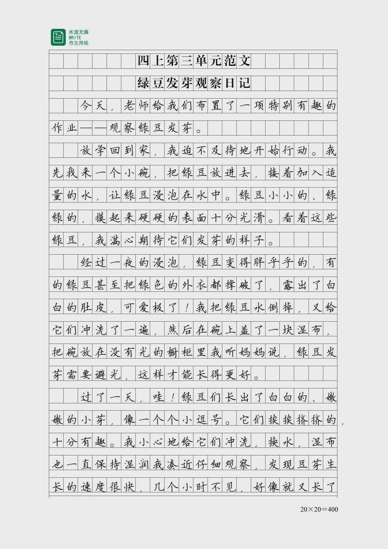 观察绿豆日记·从干瘪到生机勃勃的奇妙旅程