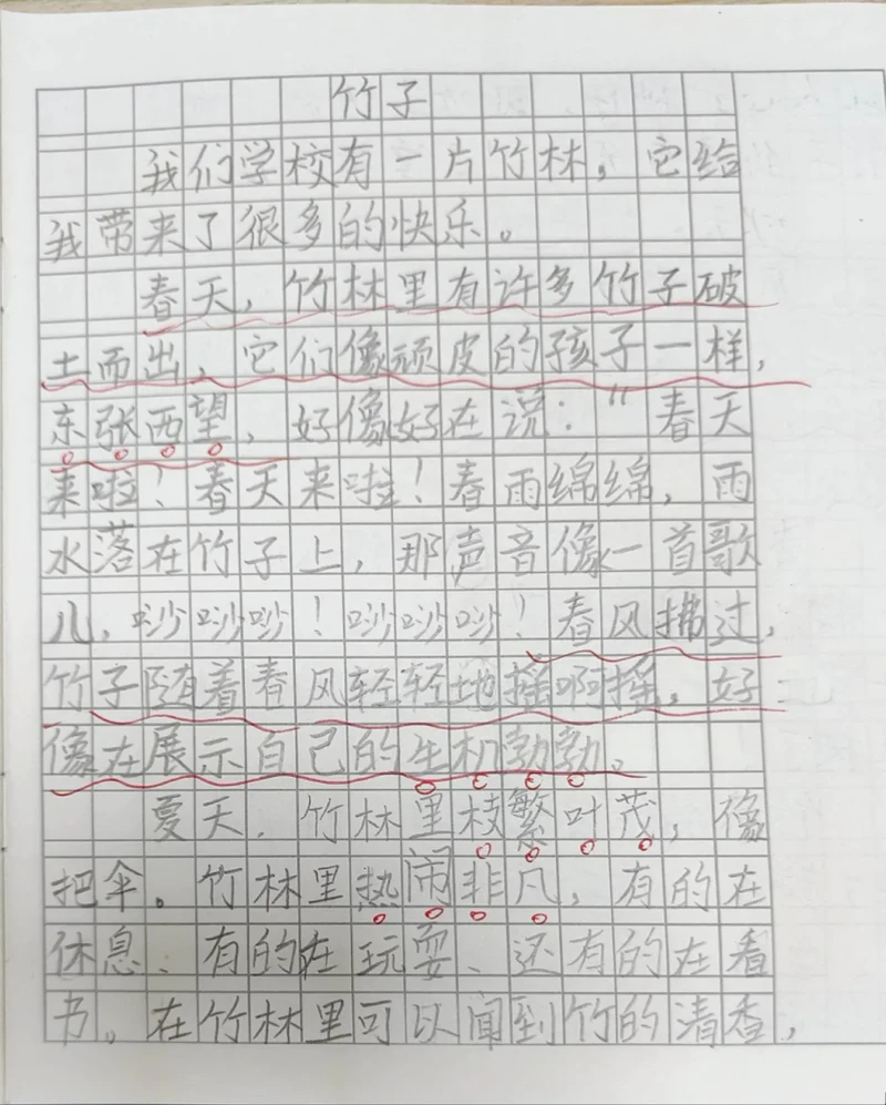 竹子，你让我沉思的日记！