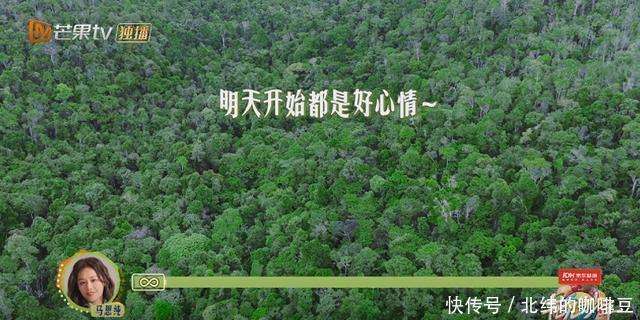 厨房里的细语，心间最温柔的诗篇？