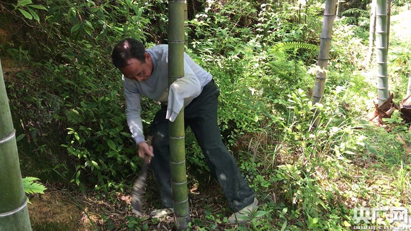扶贫日记｜山间的微光与梦想