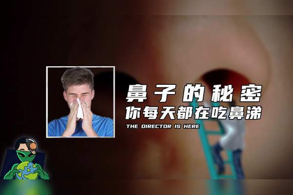 情话鼻涕丨那些暖心又浪漫的告白