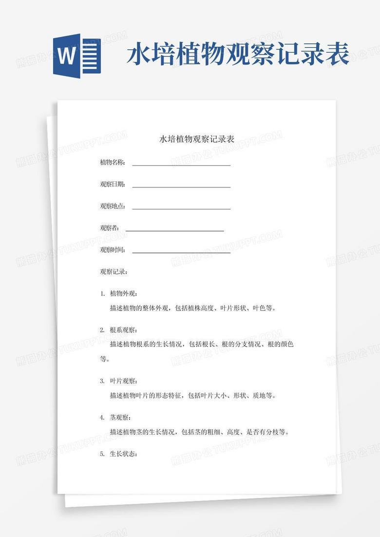 水培绿萝的小世界…