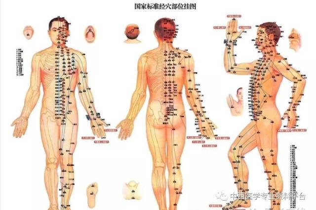 藏在身体里的温柔—那些只属于你的穴位情话