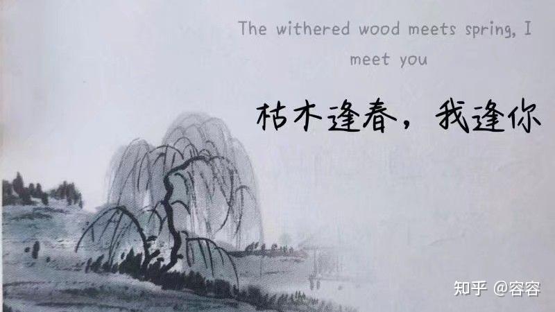 枯草情话｜在凋零处生长的温柔