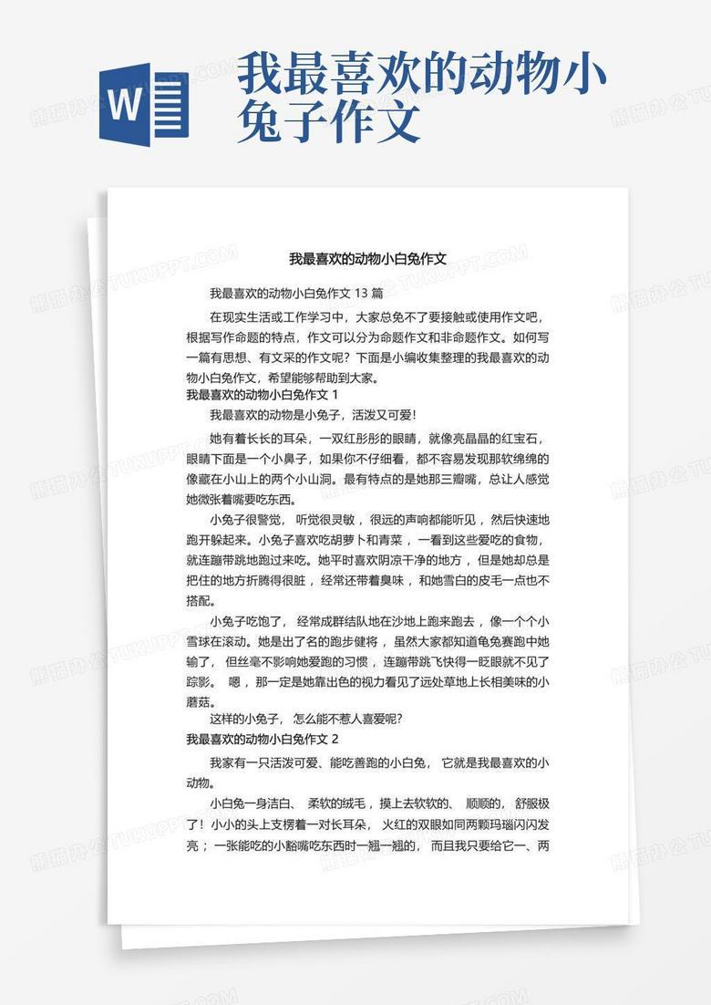 猫，是我生活里最安静的烟火！