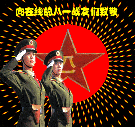 阳光下的军徽丨建军节的小确幸