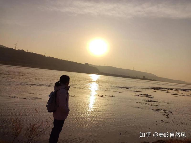 在天空的浪漫篇章·大雁情话