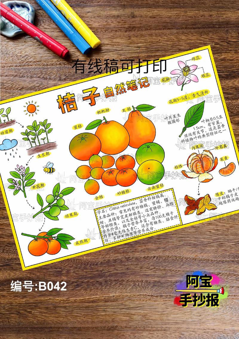 橘子在窗台上的日子…