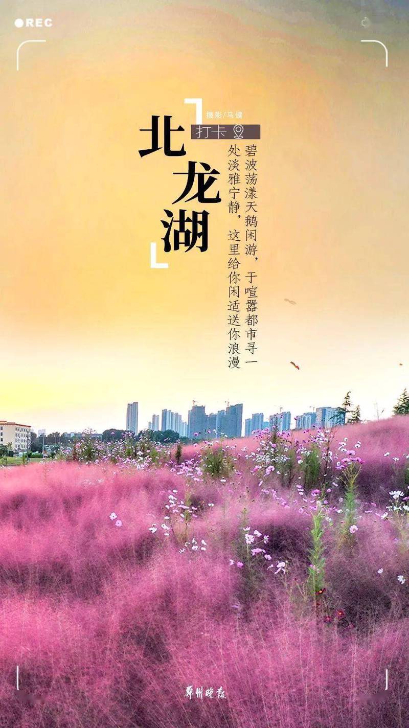 在郑州的雨后，我找到了生活的诗意？