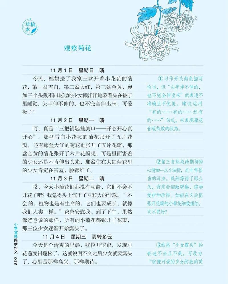 今天，我观察到了一只小鸟！