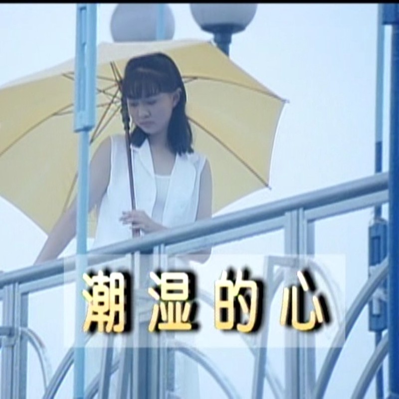 在雨后的微光里，遇见你的温柔