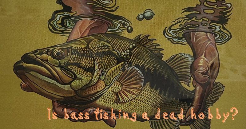 雨后捉鱼记·一条小鱼，半条命