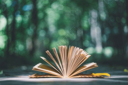 我和大树的约定？