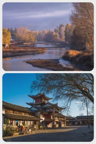 土豆与树耳的第三个故事·老槐树下的秘密