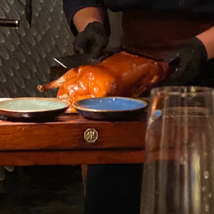 观察猪的日常：从早上到夜晚