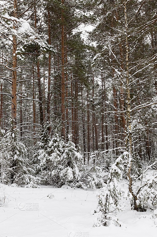 雪后，城市像被按了暂停键！