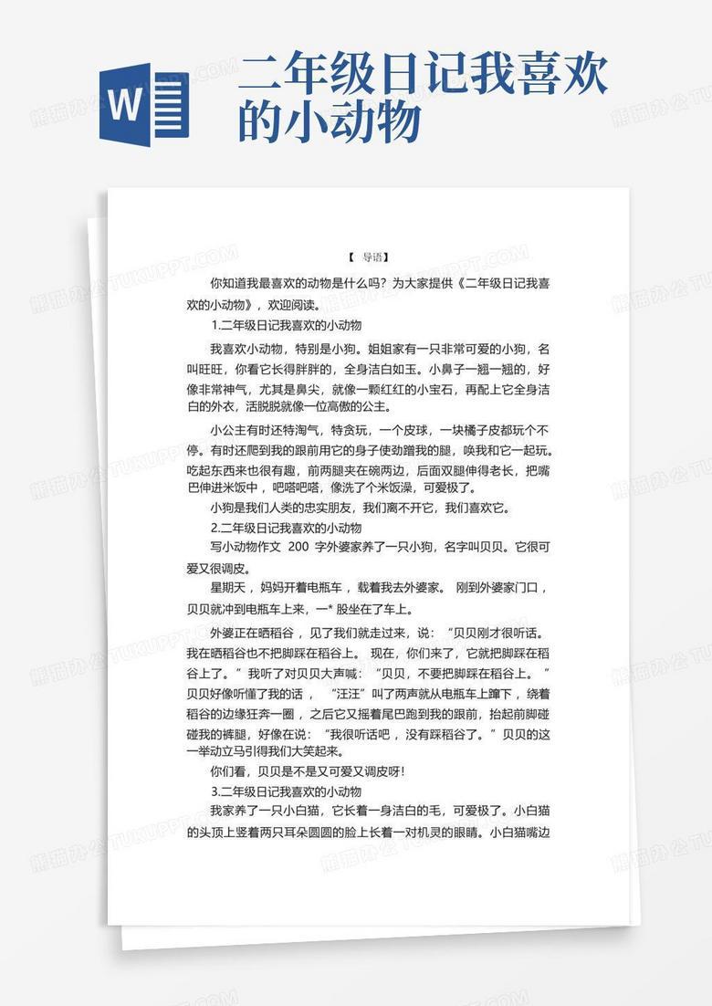 雨后的阳光与小猫的温柔？