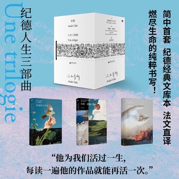 时间的碎片与心的旅程…