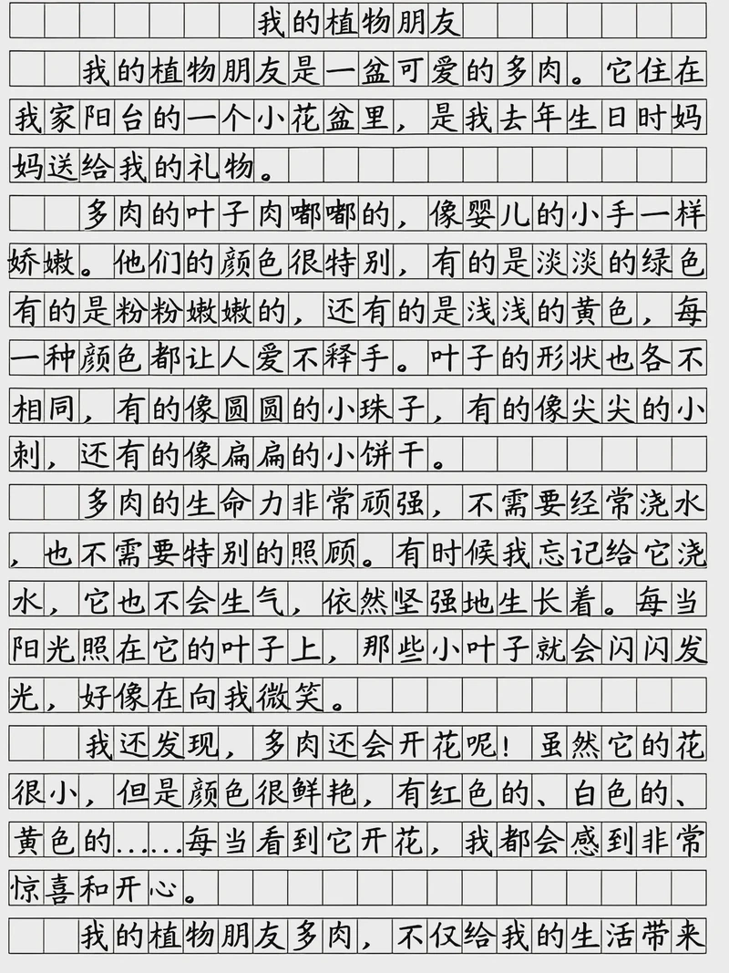 春天的使者丨小小向日葵的成长日记