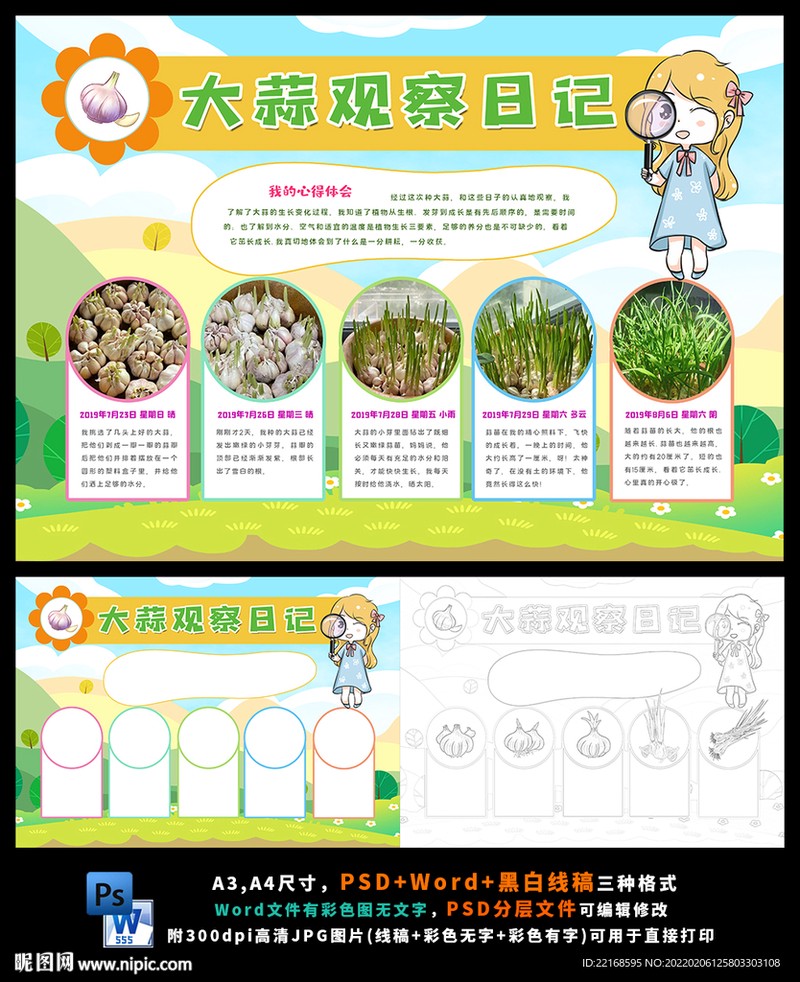 蒜苗冒头那天，我突然想哭？