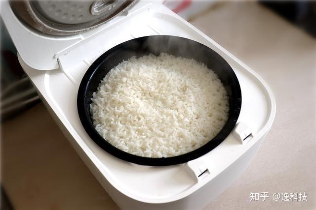 煮饭日记—一锅热气腾腾的幸福