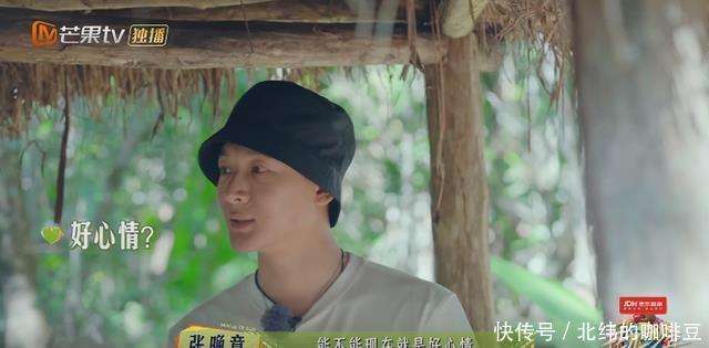 雨林深处，爱意盎然丨—雨林情话大全