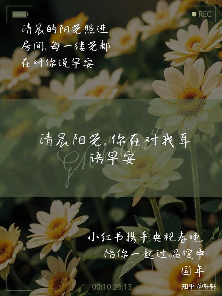 浪漫午安情话·温柔与深情的完美结合